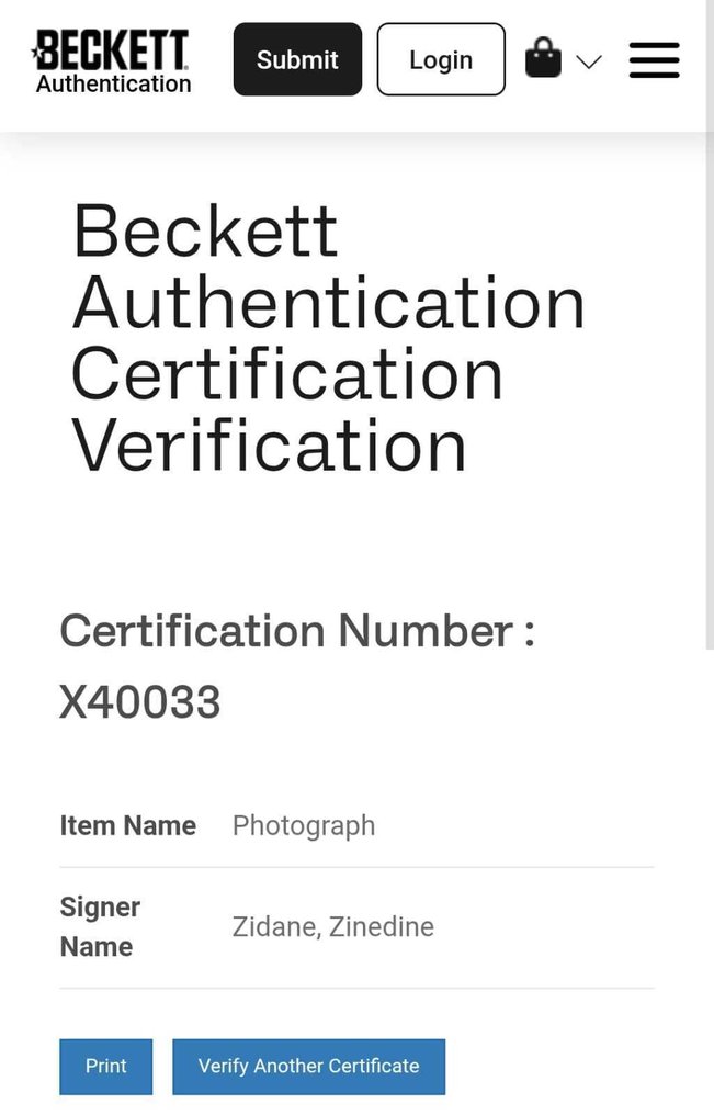 Zinedine Zidane – Real Madrid – Photo signée 8x10 – Certificat d'authenticité Beckett  #2.1