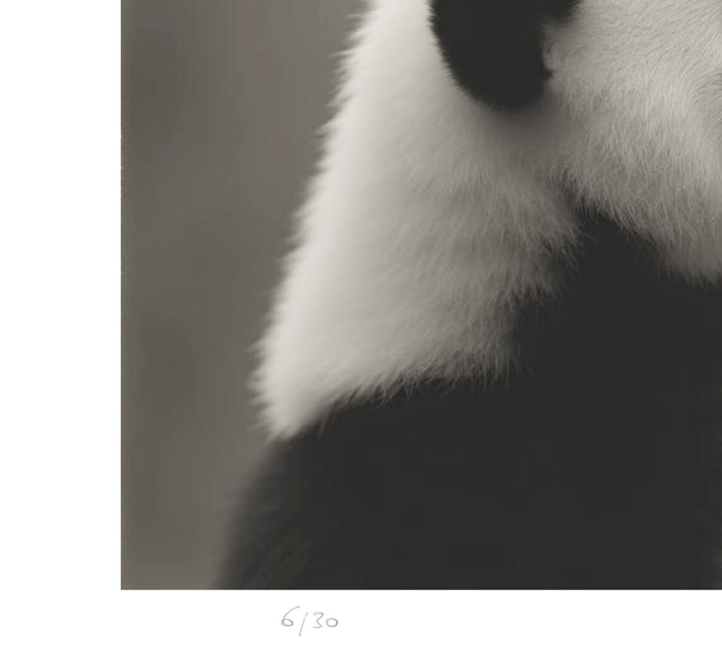 Mr Strange - Japanese Tales (III) #2.1