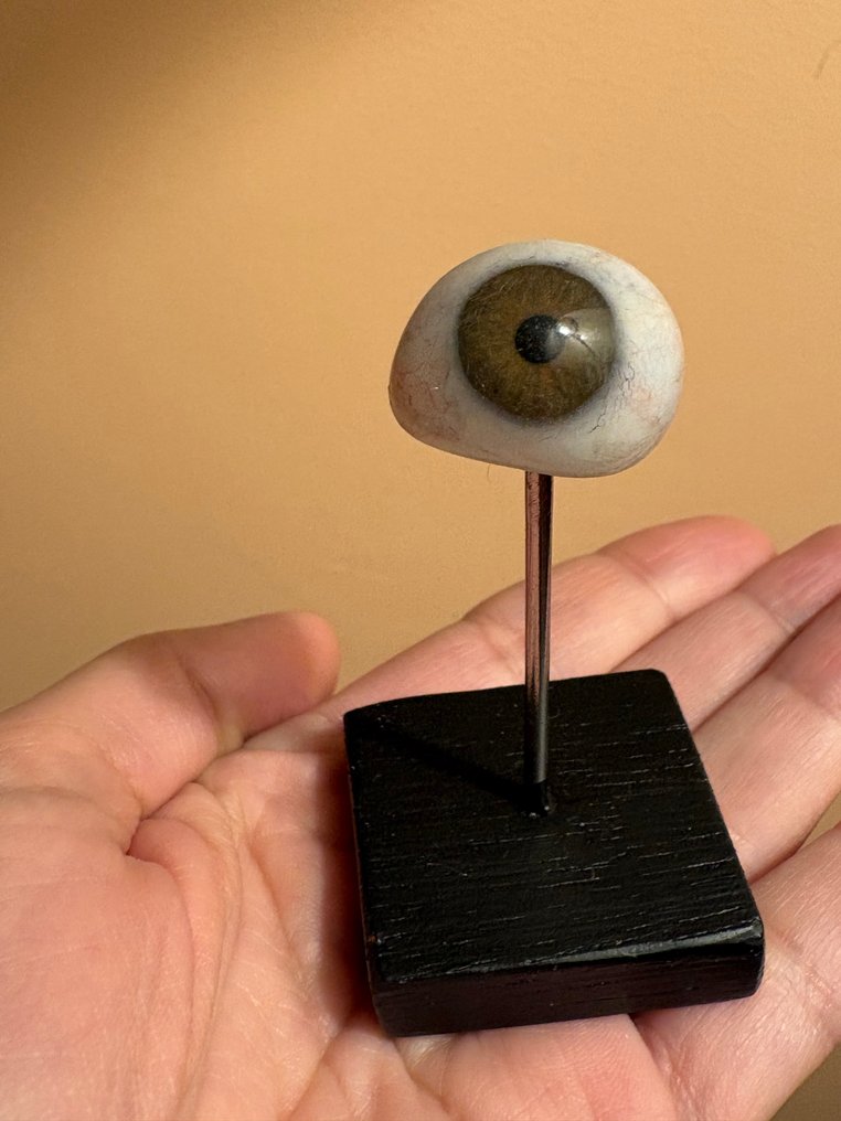 Anémomètre - Résine - 1950-1960 - Prothèse oculaire #1.0