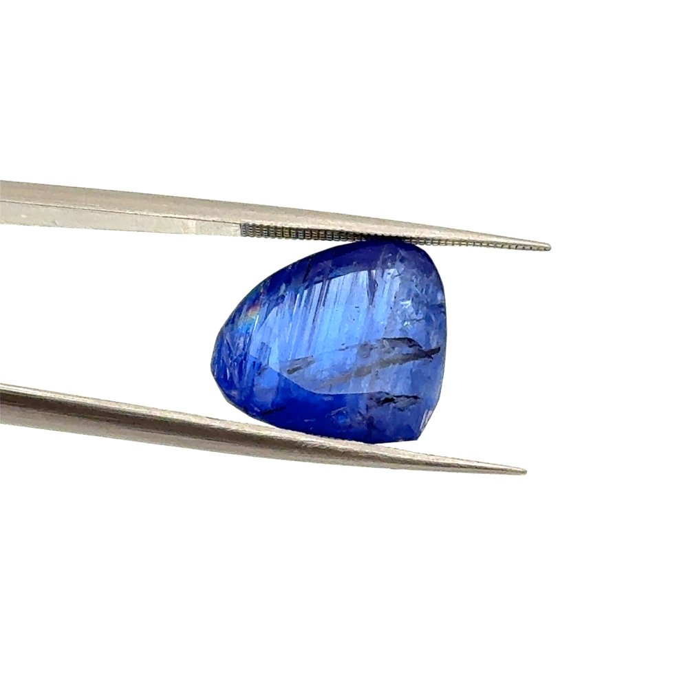 χωρίς τιμή ασφαλείας Μπλε Τανζανίτης - 9.46 ct - International Gemological Institute (IGI) #3.2