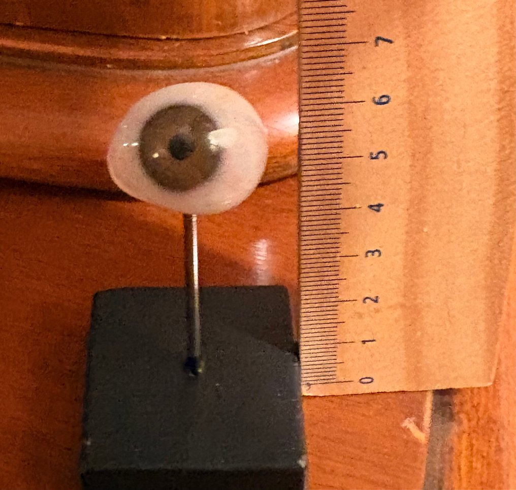 Anémomètre - Résine - 1950-1960 - Prothèse oculaire #2.1