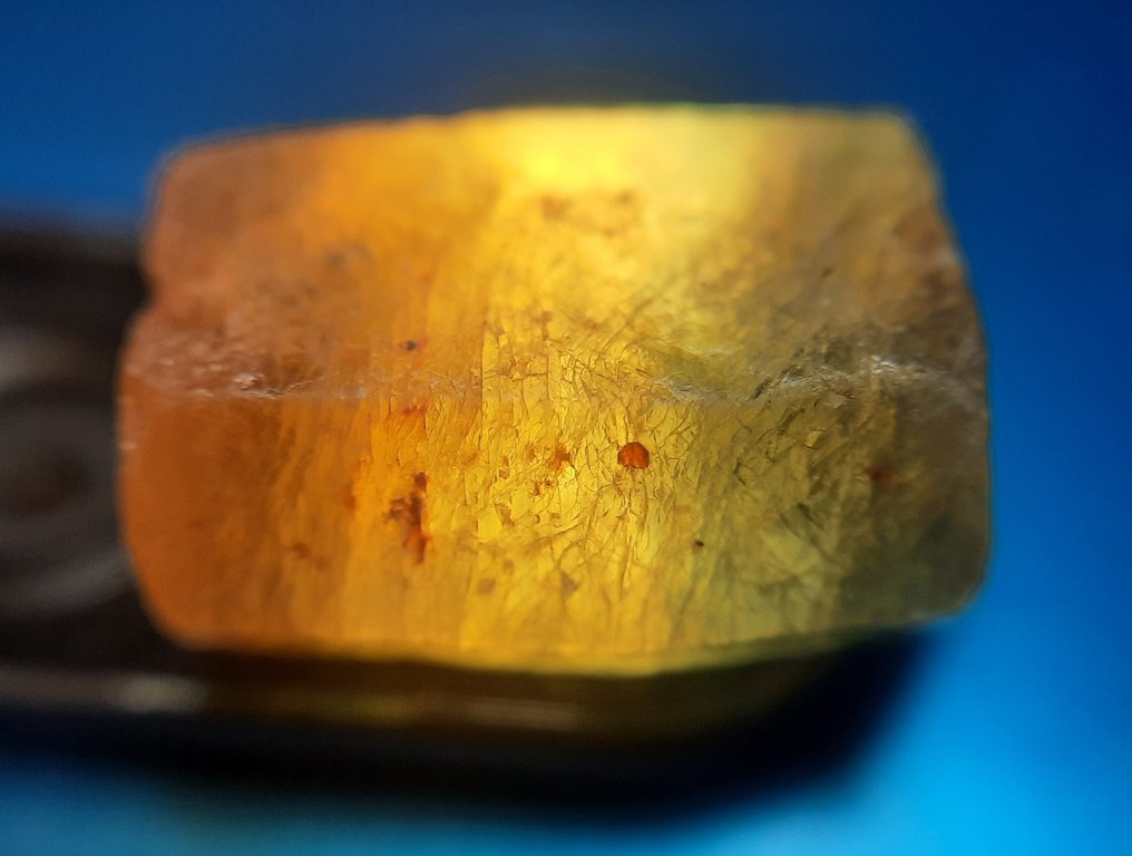 16 ct 'ZELDZAAM' Onbehandelde natuurlijke tweekleurige saffier - Ruw- 3.2 g #3.2