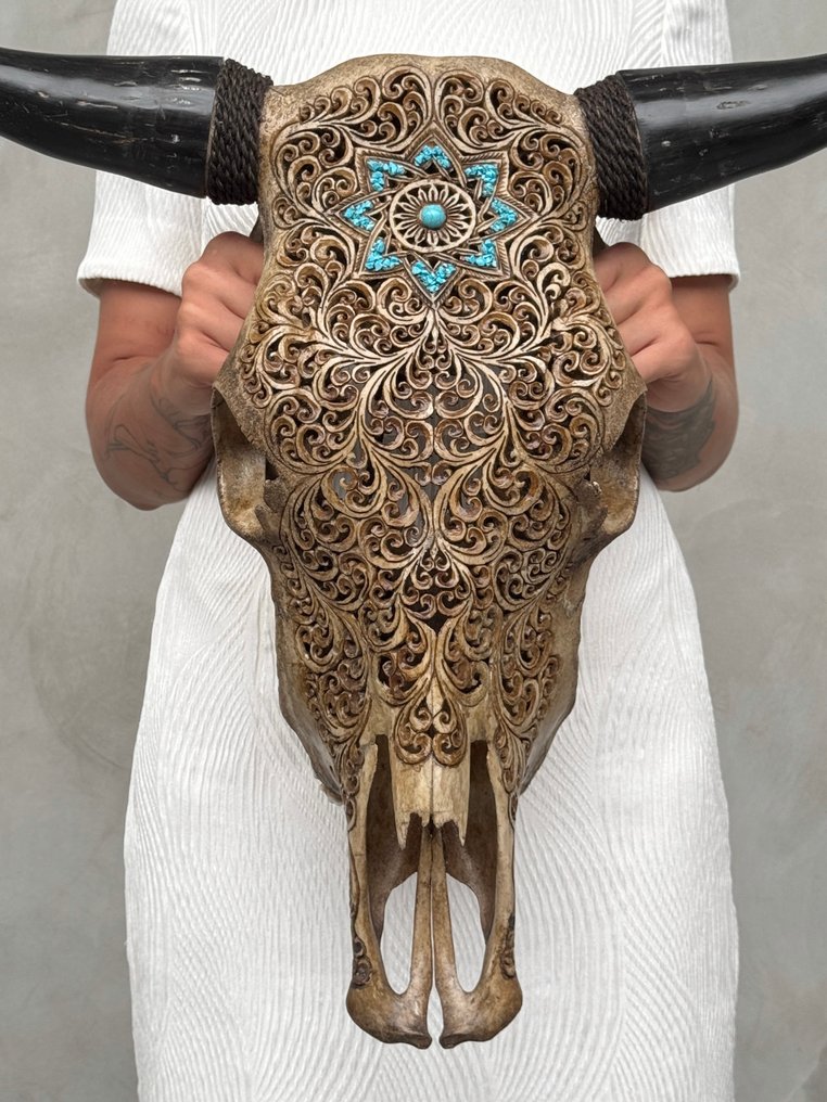 无底价 - 正品棕色手工雕刻牛头骨 - 星辰曼陀罗图案配绿松石 雕刻的颅骨 - Bos Taurus - 53 cm - 65 cm - 18 cm- 非《濒危物种公约》物种 -  (1) #1.0