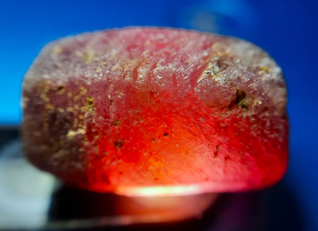 44 克拉 - 未处理天然红宝石 粗糙- 8.8 g #2.1