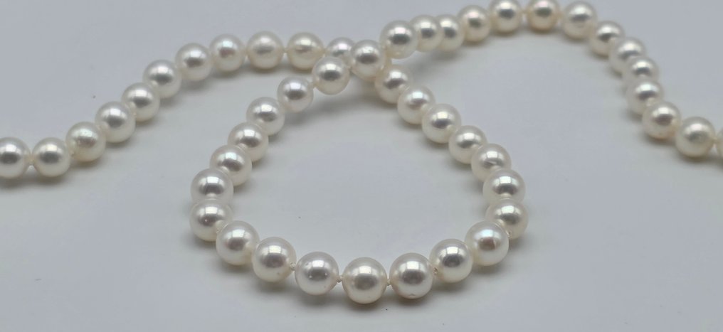 χωρίς τιμή ασφαλείας - Κολιέ - 18 καράτια Κίτρινο χρυσό Μαργαριτάρι - Perle akoya από 6.2 έως 6.4. #2.1