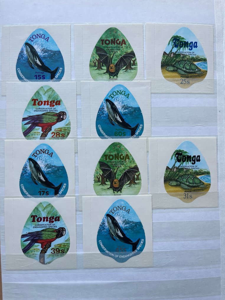 英联邦 1900/2000 - 萨摩亚、汤加、新几内亚以及股票簿中的不同领域 #4.3