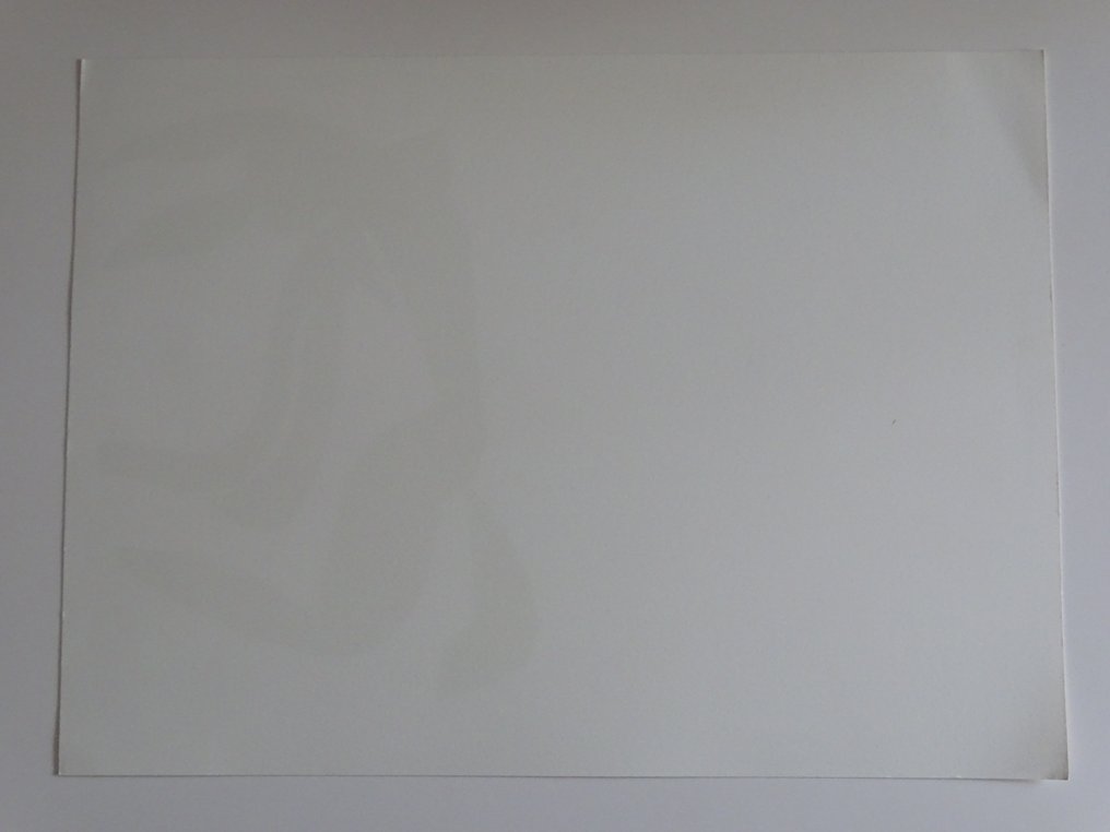 Henri Matisse (1869-1954) (after) - Nude #4.3