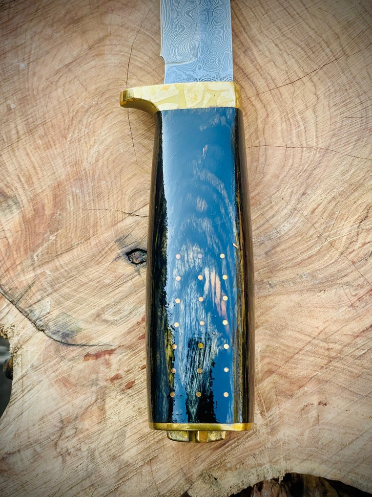 Unknown Unknown - 廚刀 - Utility knife -  未知的 - 鋼, 黃銅, 木 - 義大利 #3.2