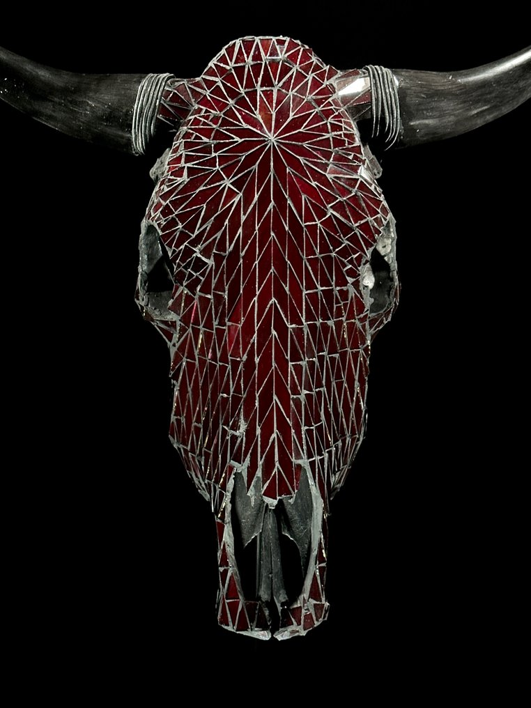 无底价 - 正品大型公牛头骨,配有玻璃马赛克镶嵌 - 栗色 颅骨 - Bos Taurus - 49 cm - 59 cm - 19 cm- 非《濒危物种公约》物种 - (1) #1.0