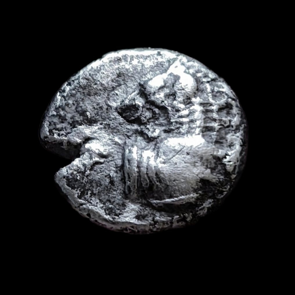 Thrakien, Chersonesos Diobol 6th century BC  (Ingen mindstepris) #1.0