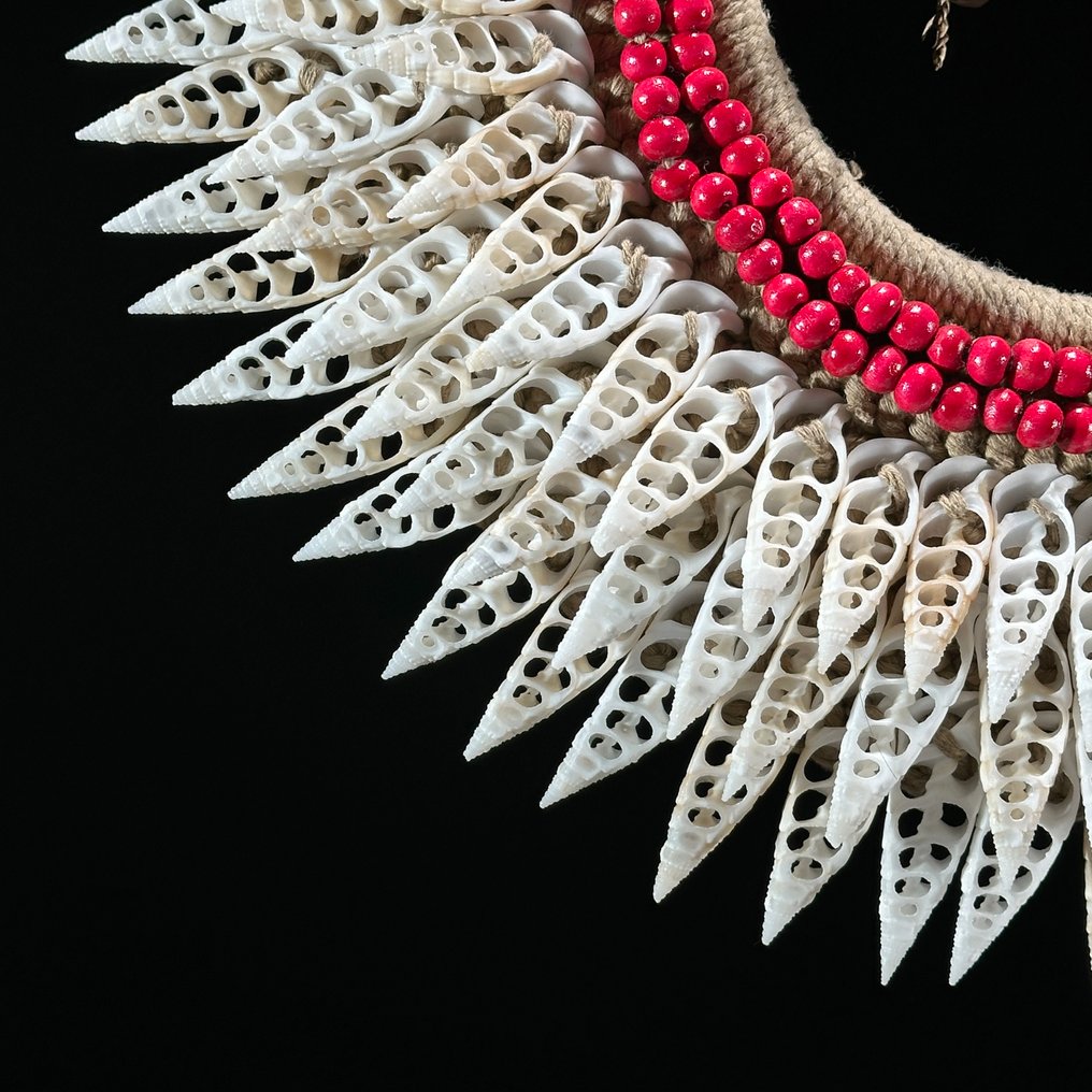 Zierornament - NO RESERVE PRICE - SN7 - Decorative shell necklace on a custom stand - Papua Neuguinea #4.3