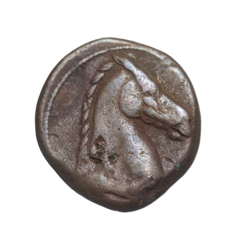 Zeugitana, Carthage Shekel 300-264 a.C. ¿Cerdeña? (Ingen mindstepris) #1.0