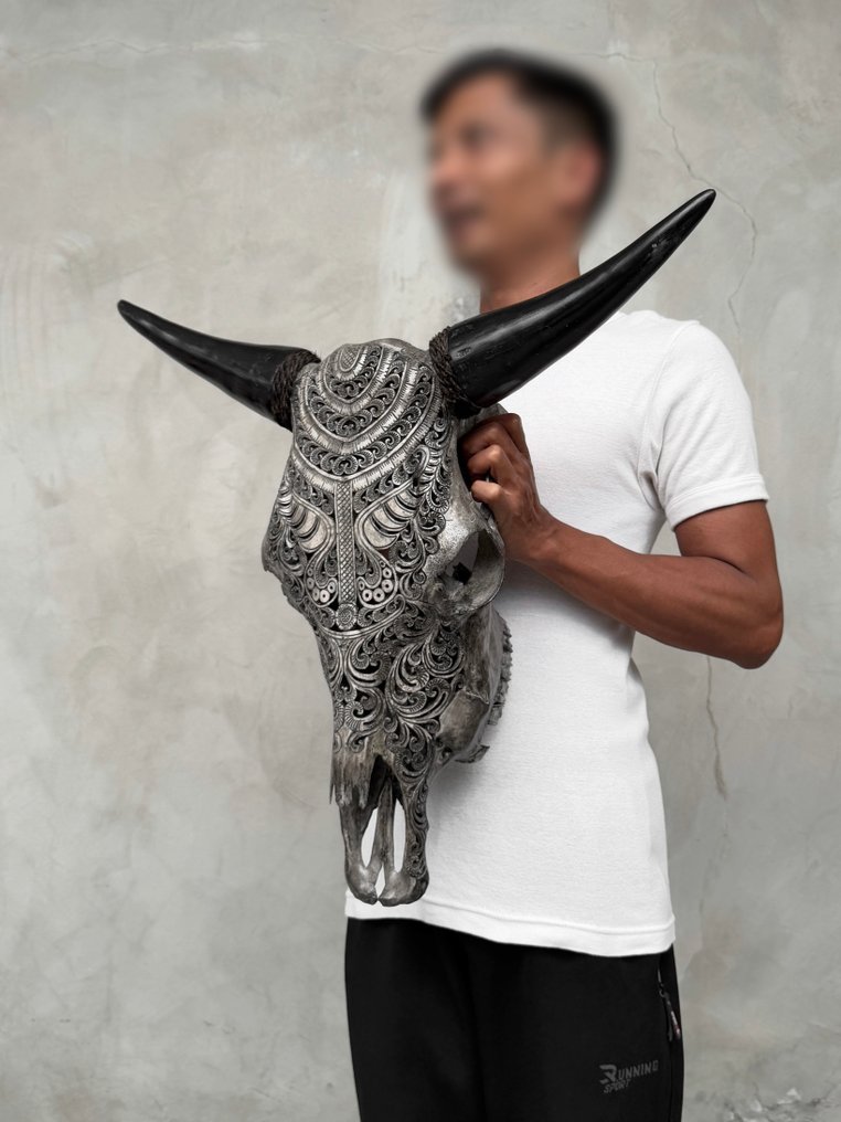 无底价 - 令人惊叹的大型灰色手工雕刻公牛头骨 - 巴东图案 雕刻頭骨 - Bos Taurus - 55 cm - 60 cm - 17 cm- 非《瀕臨絕種野生動植物國際貿易公約》物種 -  (1) #3.2