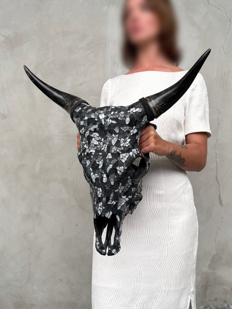 无底价 - 令人惊叹的牛头骨，镶有玻璃马赛克 - 黑色，白色 頭骨 - Bos Taurus - 57 cm - 58 cm - 22 cm- 非《瀕臨絕種野生動植物國際貿易公約》物種 -  (1) #3.2