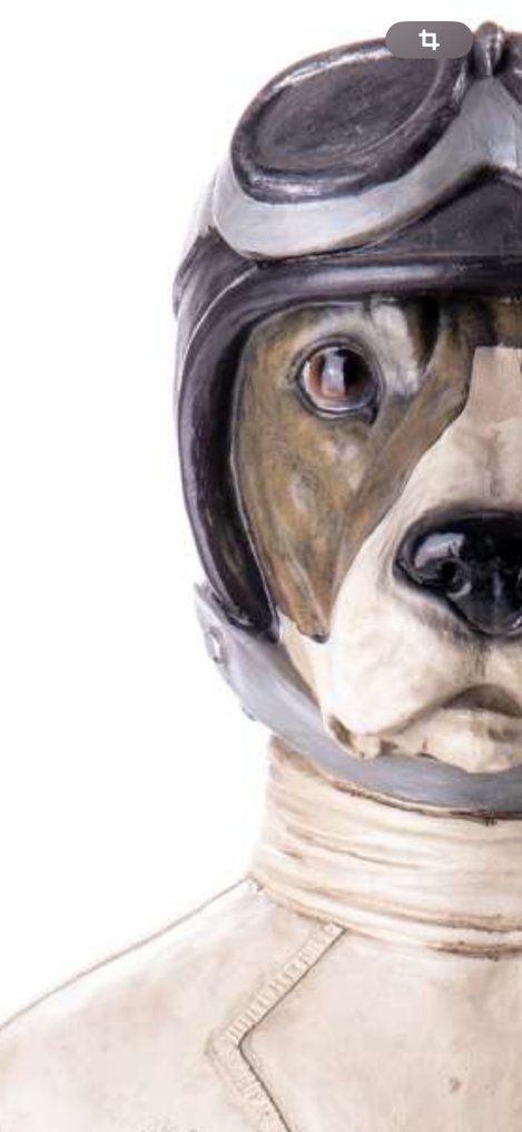 Φιγούρα - Büste Hund mit Pilotenhelm handbemalte Polyresinfigur 50CM No Reserve Price - polyresin #1.0
