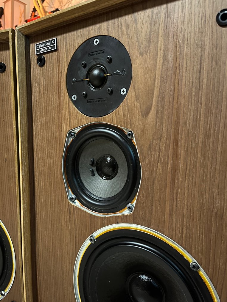 Celestion - DITTON 22 Σετ ενεργών ηχείων #4.3