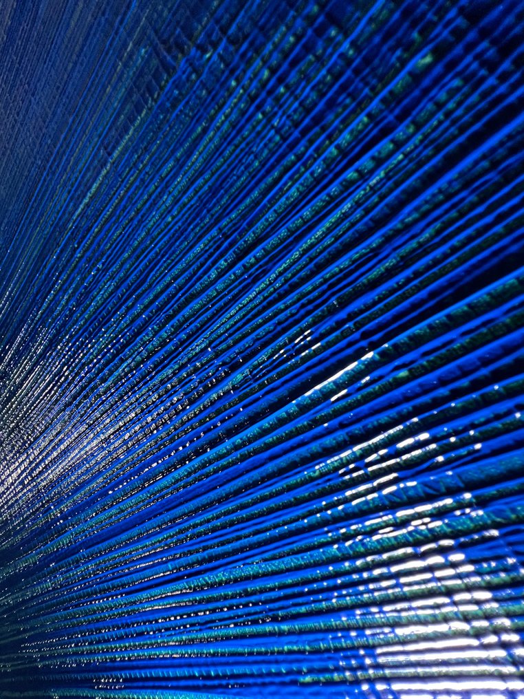 Ronan Martin - The Swimming Pool this Summer - NO RESERVE PRICE #3.2