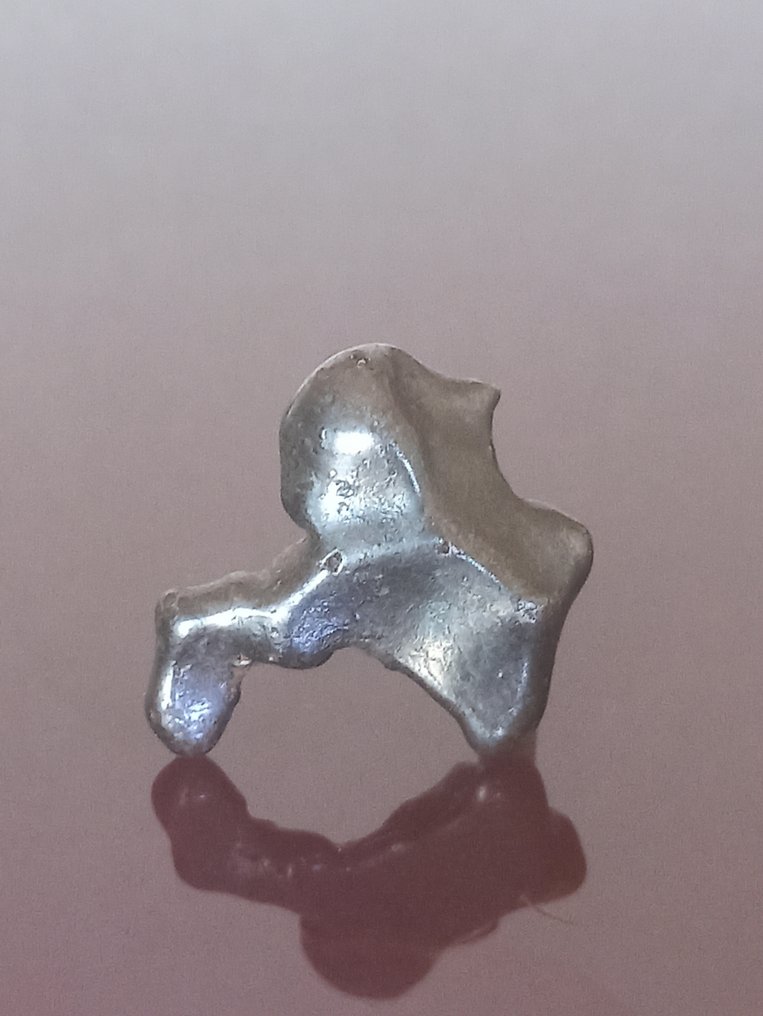 Especial Sikhote Alin. Fabelachtig exemplaar. Geen reserveringsprijs!!! - 12.17 g #3.2