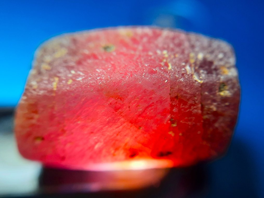 44 克拉 - 未处理天然红宝石 粗糙- 8.8 g #3.2