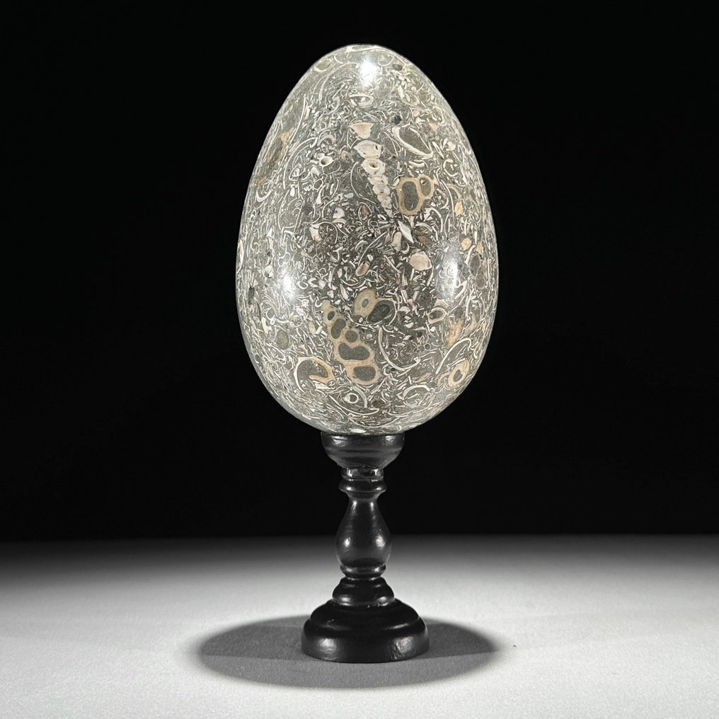 裝飾飾物 (2) - NO RESERVE PRICE - Wonderful Pair of Turritella Egg shape & Calcite Crystal Cluster on stands - 美國 #2.1