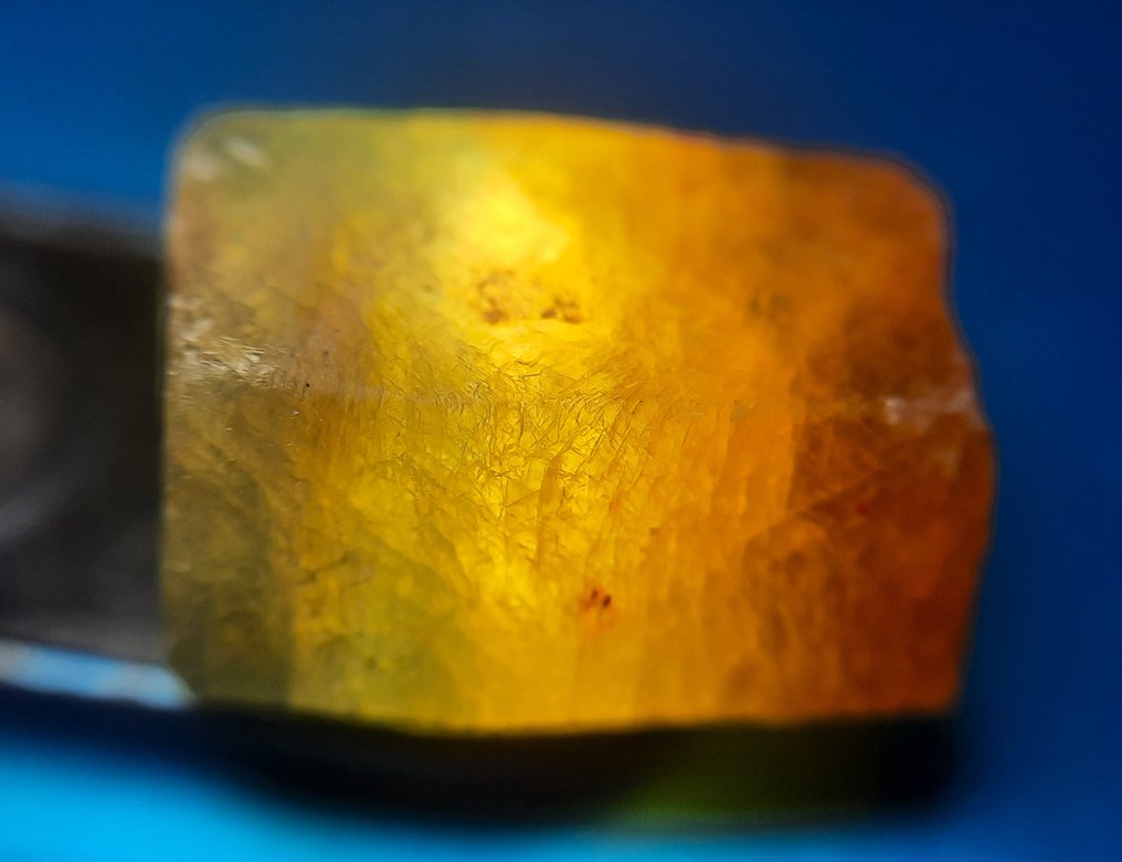 16 ct 'ZELDZAAM' Onbehandelde natuurlijke tweekleurige saffier - Ruw- 3.2 g #1.0