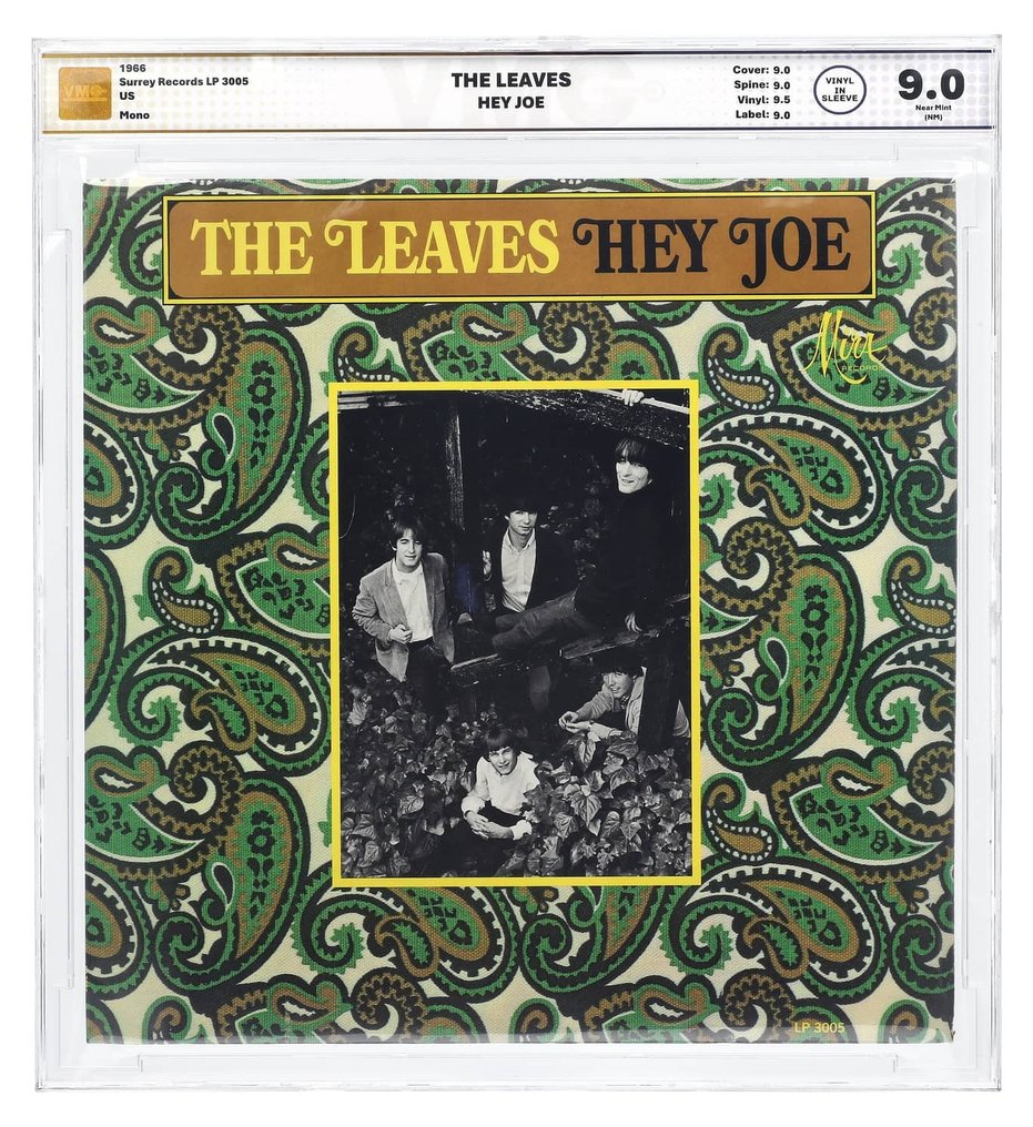 The Leaves - Hey Joe - Encapsulated copy - 黑膠唱片 - 第1單聲道按壓 - 1966 #1.0