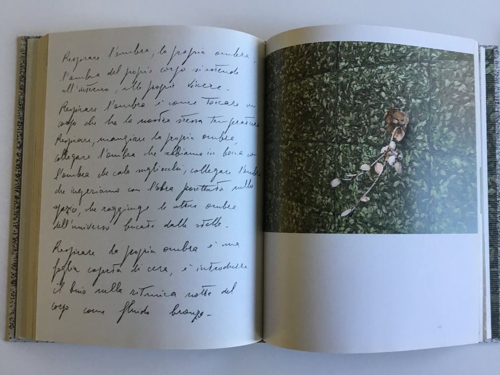 Giuseppe Penone - Lot with 2 books - 1998-2014 #4.3