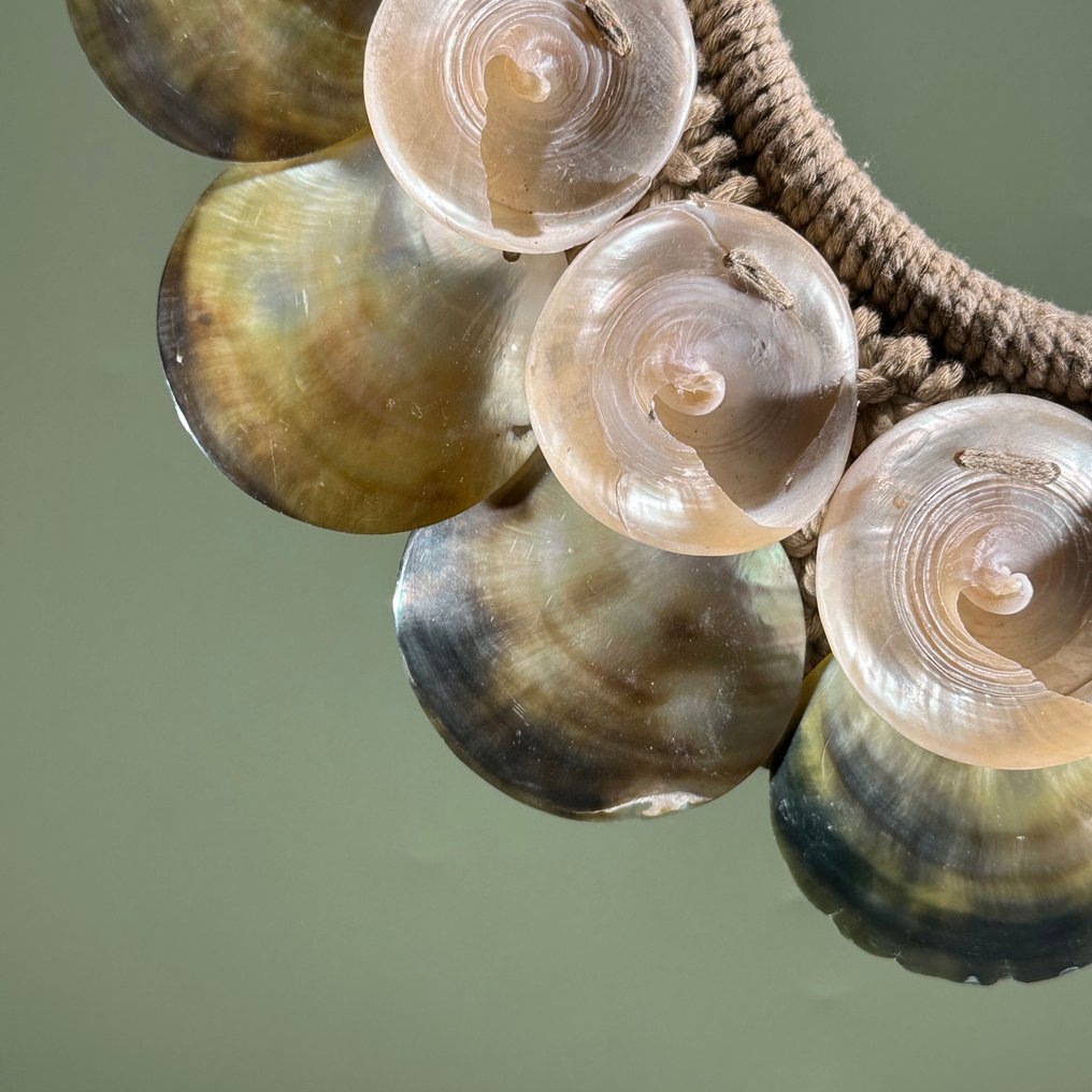 裝飾飾物 - NO RESERVE PRICE - SN5 - Decorative shell necklace on custom stand - 印度尼西亞 #4.3