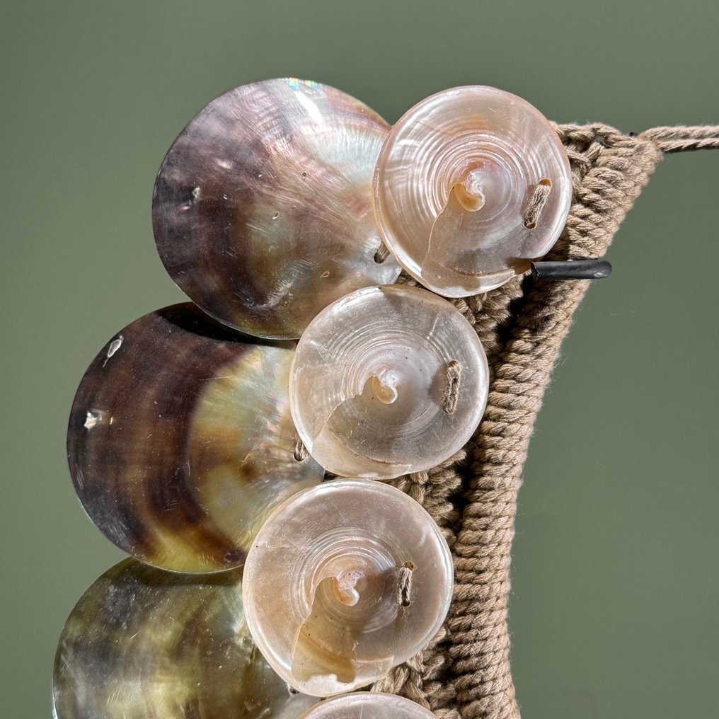 裝飾飾物 - NO RESERVE PRICE - SN5 - Decorative shell necklace on custom stand - 印度尼西亞 #3.2