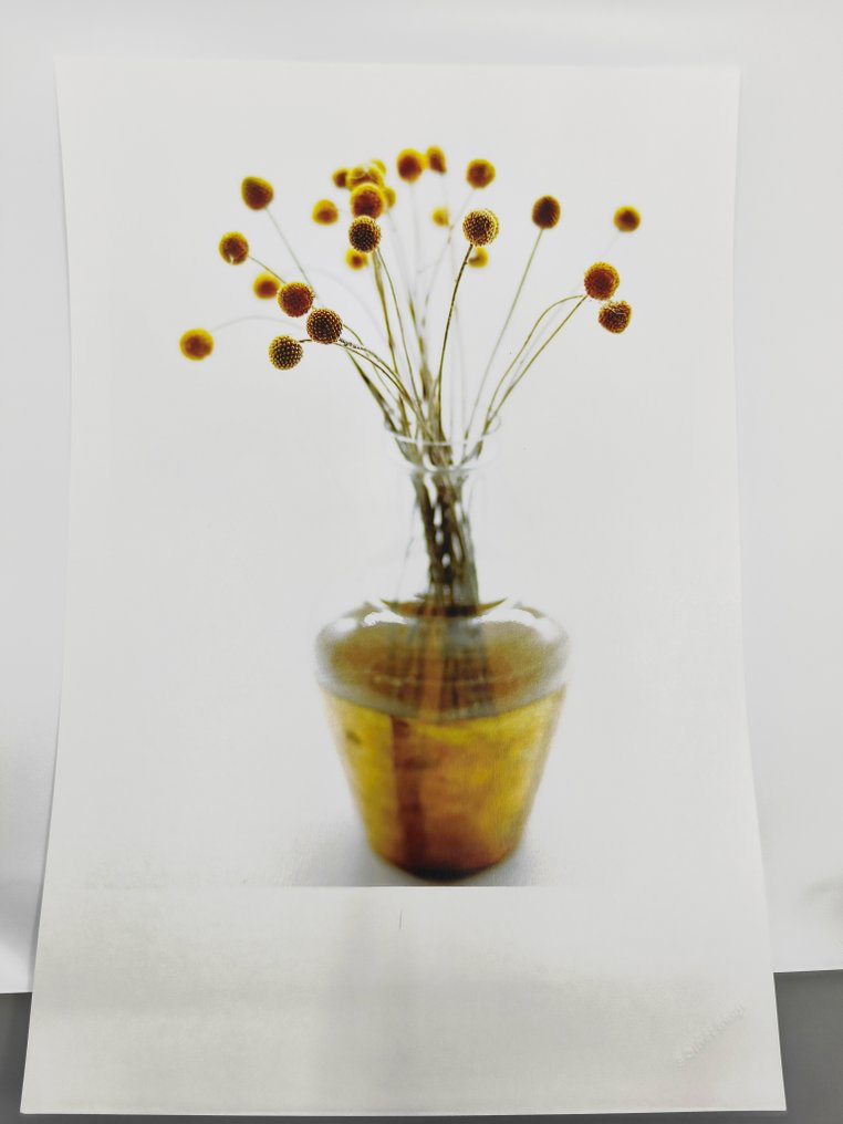 oliver hadji - flowers III #2.1