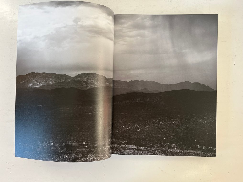 Signed, Robin de Puy - If This is True. ... - 2016 #3.2