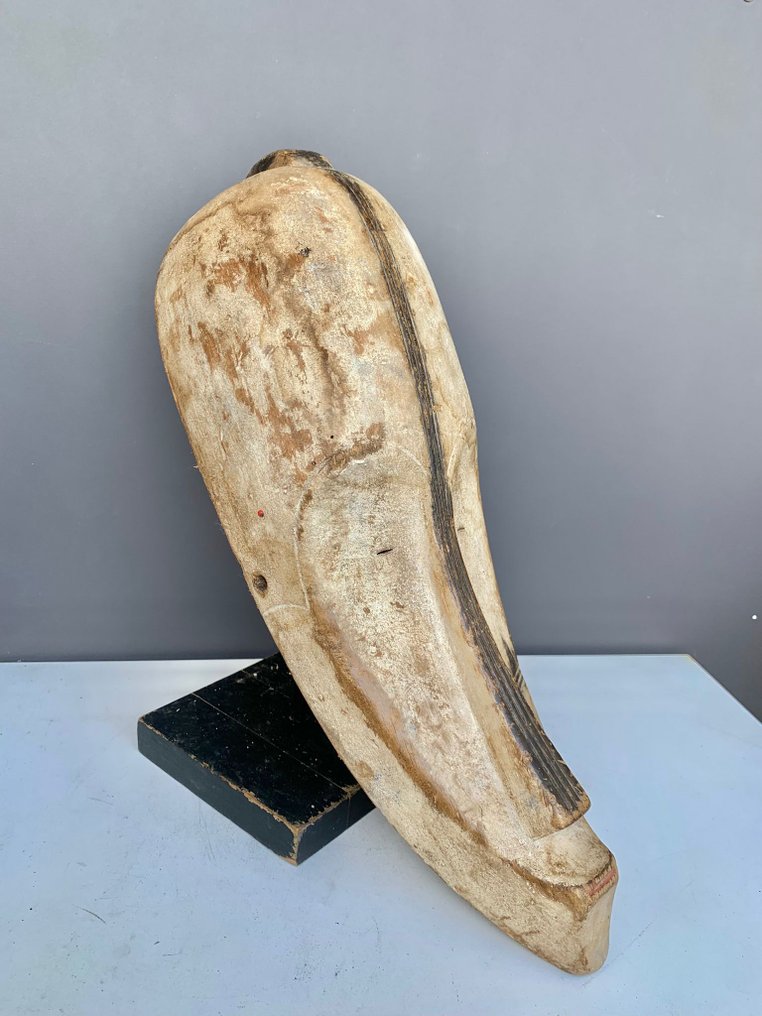 Masque - kieł - Fang - Gabon  (Bez ceny minimalnej
) #2.1