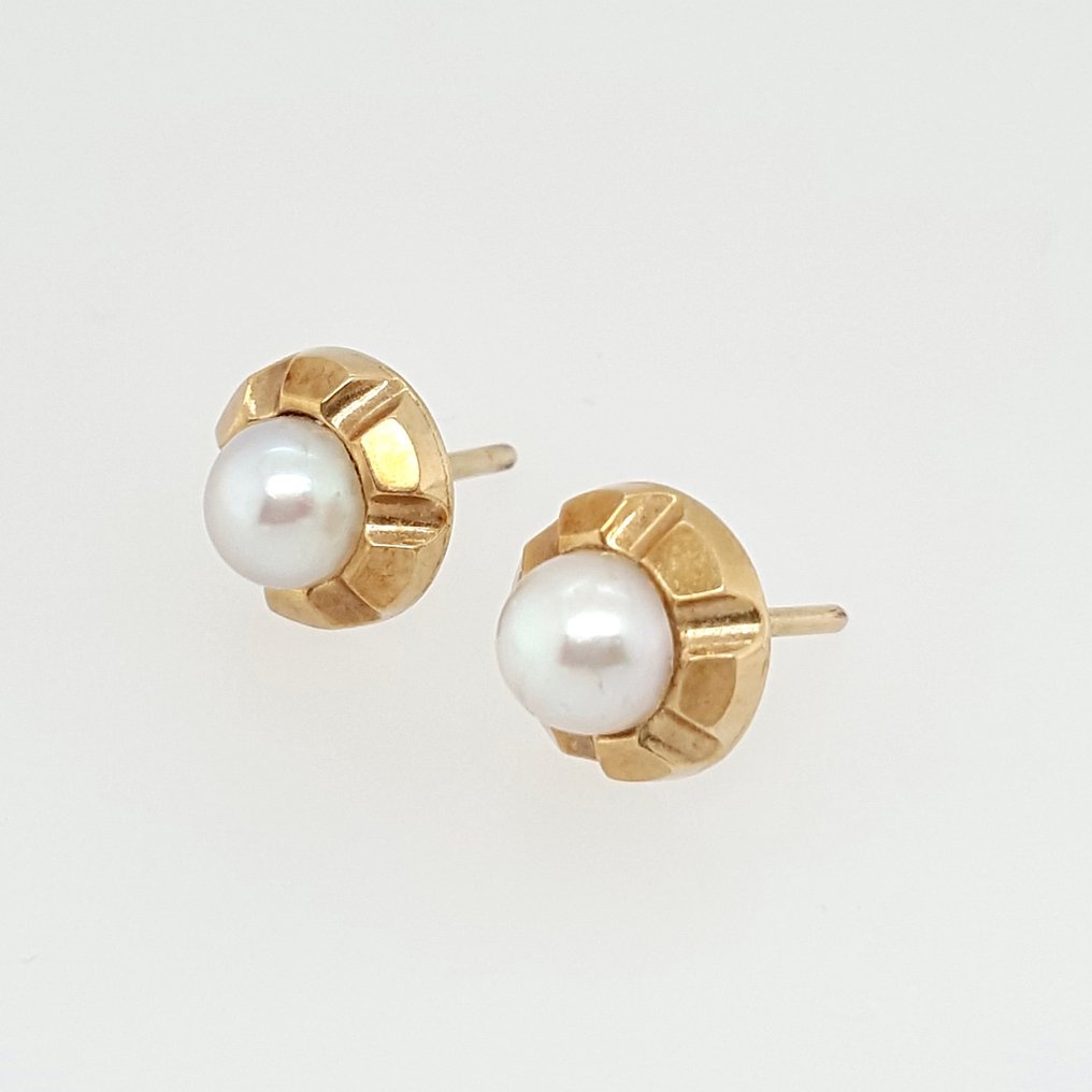 Ohne mindestpreis - Ohrringe - 14 kt Gelbgold Perle - Perle #1.0