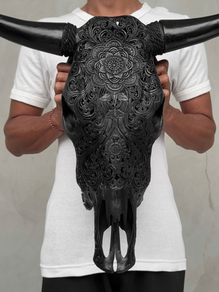 无底价 正品大型黑色手工雕刻公牛头骨 - 花卉曼陀罗图案 雕刻頭骨 - Bos Taurus - 49 cm - 59 cm - 21 cm- 非《瀕臨絕種野生動植物國際貿易公約》物種 -  (1) #1.0