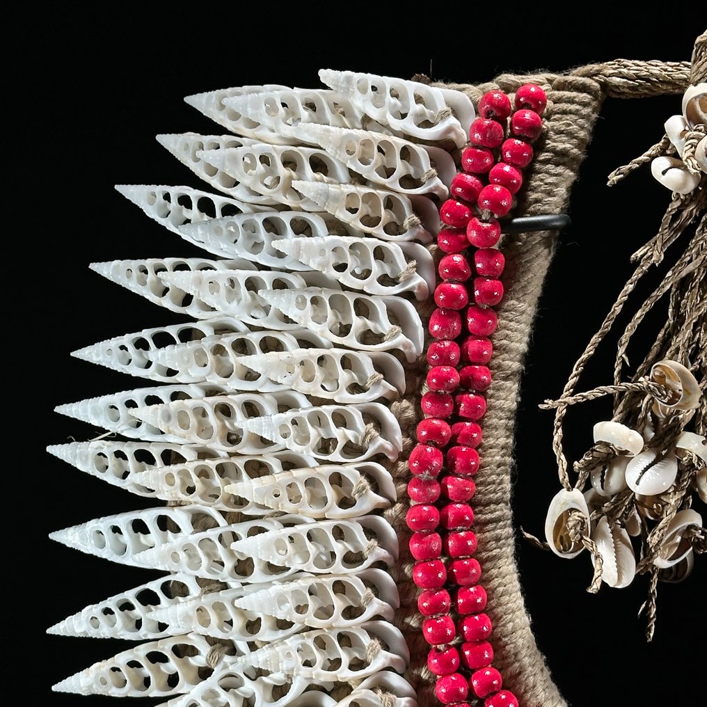 Zierornament - NO RESERVE PRICE - SN7 - Decorative shell necklace on a custom stand - Papua Neuguinea #3.2