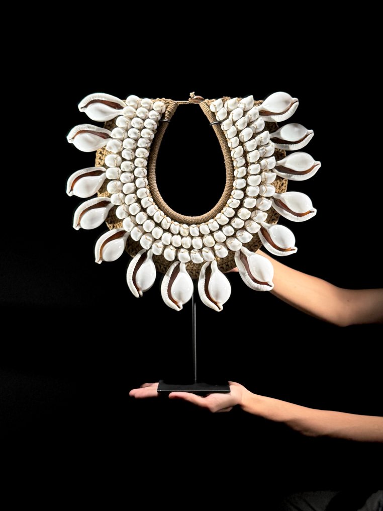 装饰饰品 - NO RESERVE PRICE - SN01 - Decorative Shell Necklace on a custom stand - 巴布亚新几内亚 #1.0