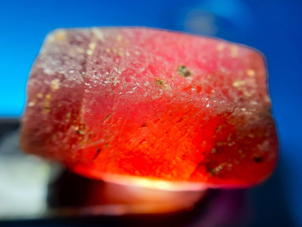 44 克拉 - 未处理天然红宝石 粗糙- 8.8 g #1.0