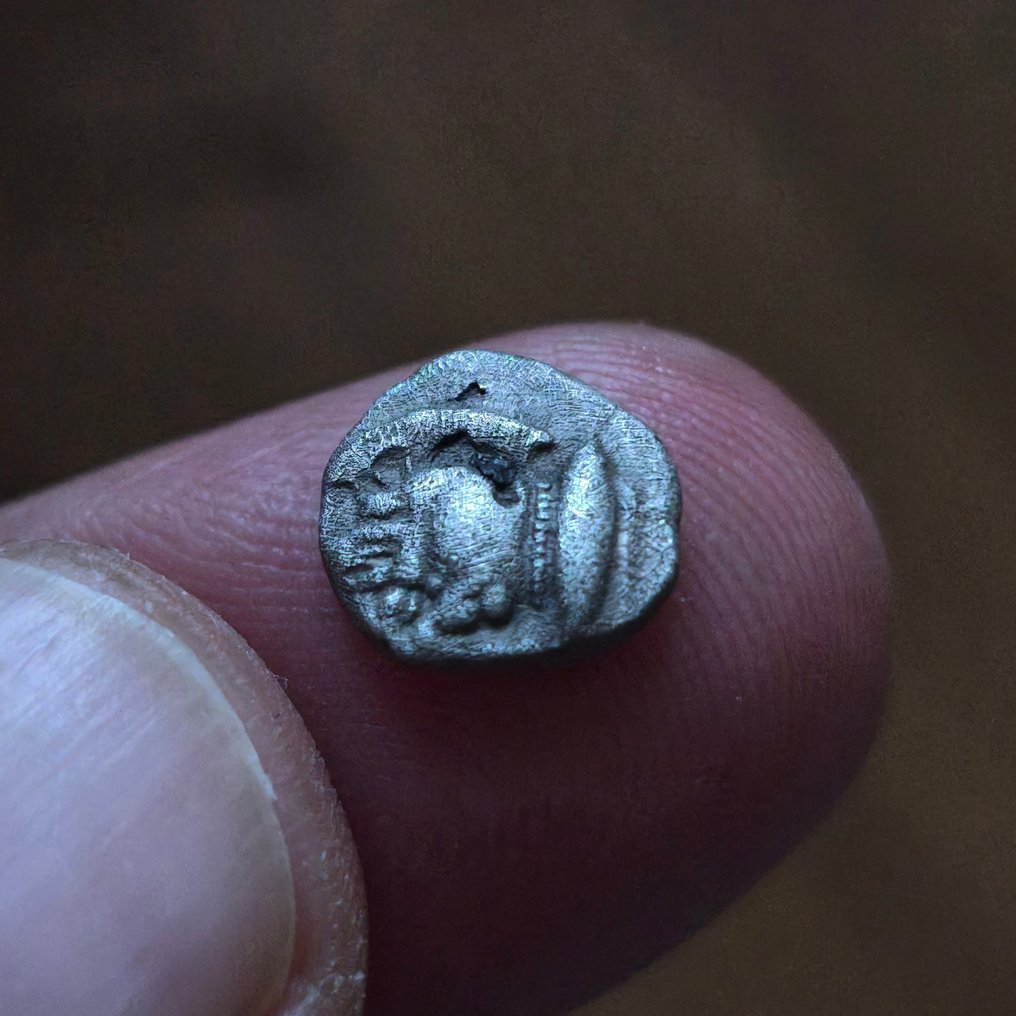 Mysia, Kyzikos Diobol circa 525-475 BC.  (Ingen mindstepris) #3.2