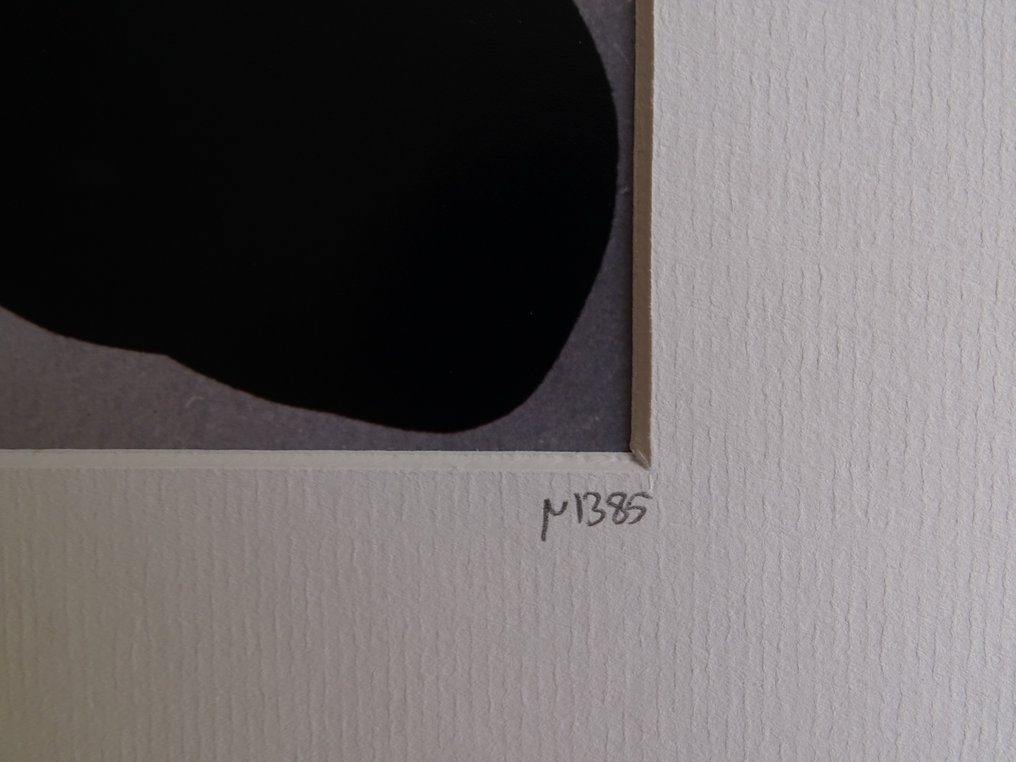 Oliviero Toscani (1942-) - Andy Warhol with Polaroid #3.2