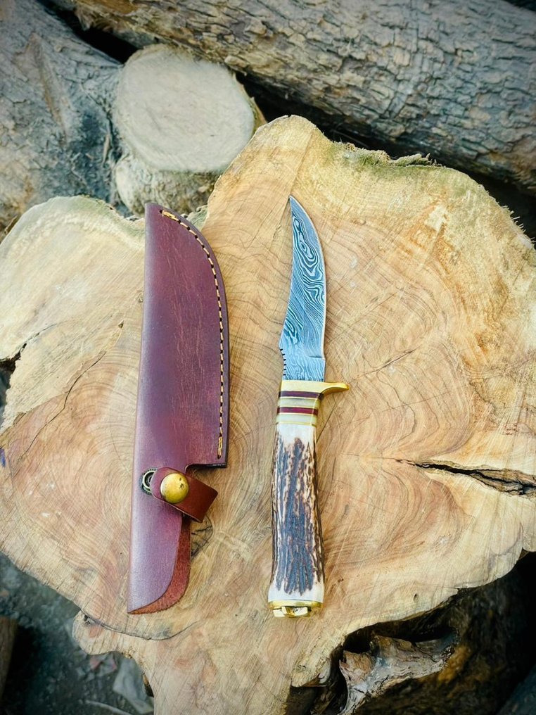 Küchenmesser - Utility knife - Stahl, Horn, Messing, Leder - Spanien #3.2