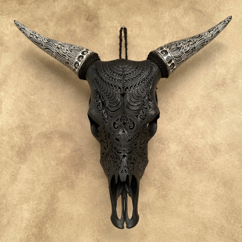 无底价 - 正品黑色手工雕刻牛头骨，配波西米亚雕刻角 - 巴东图案 雕刻頭骨 - Bos Taurus - 58 cm - 66 cm - 16 cm- 非《瀕臨絕種野生動植物國際貿易公約》物種 -  (1) #2.1