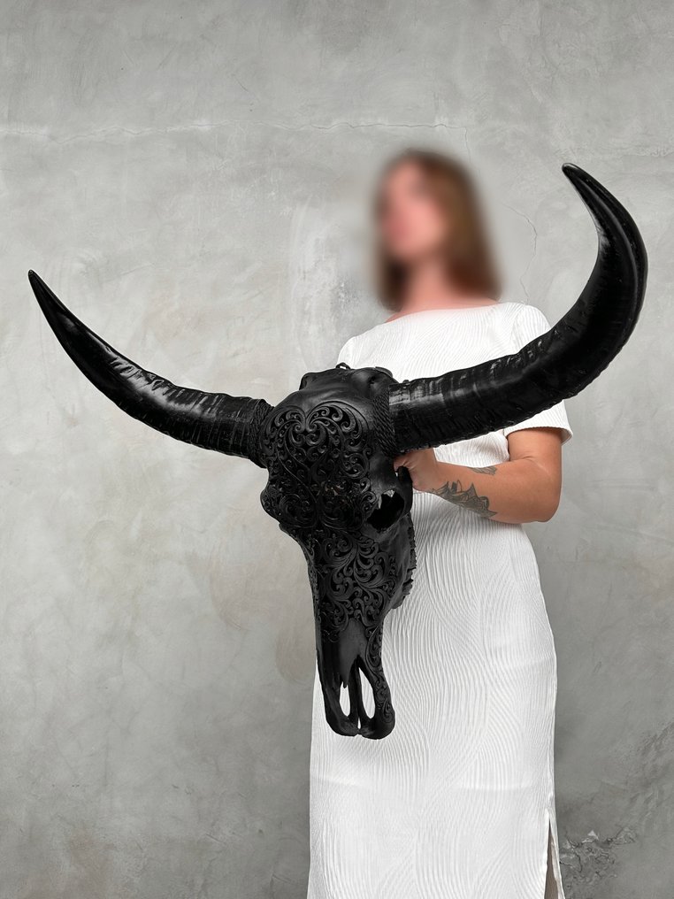 C - 正品大型黑色手工雕刻水牛头骨 - 传统巴厘岛图案 雕刻頭骨 - Bubalus Bubalis - 65 cm - 83 cm - 38 cm- 非《瀕臨絕種野生動植物國際貿易公約》物種 -  (1) #4.3