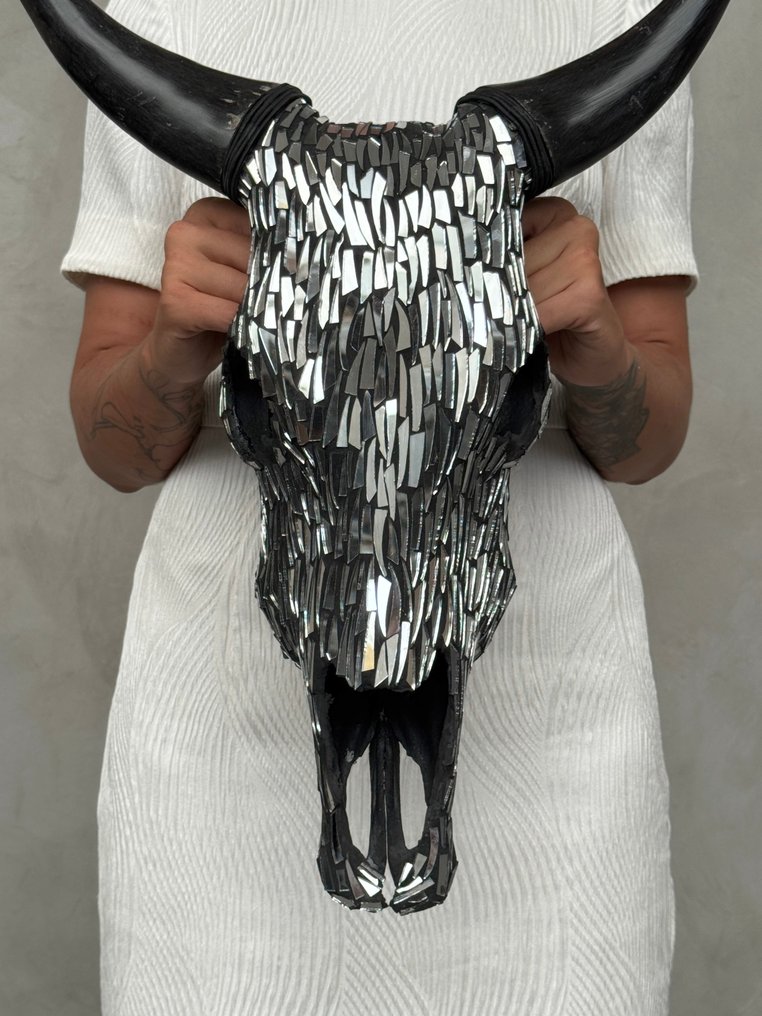 无底价 - 精美的牛头骨,镶嵌玻璃马赛克,银制 頭骨 - Bos Taurus - 58 cm - 42 cm - 15 cm- 非《瀕臨絕種野生動植物國際貿易公約》物種 - (1) #1.0