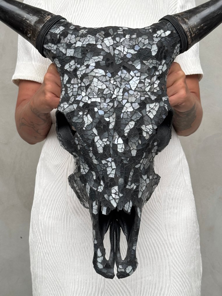 无底价 - 令人惊叹的牛头骨，镶有玻璃马赛克 - 黑色，白色 頭骨 - Bos Taurus - 57 cm - 58 cm - 22 cm- 非《瀕臨絕種野生動植物國際貿易公約》物種 -  (1) #1.0