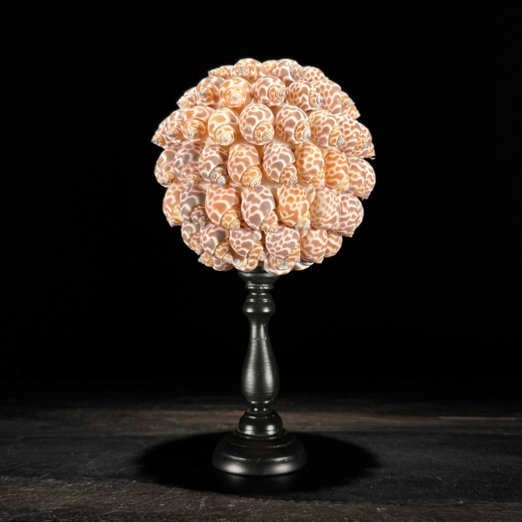 裝飾飾物 (2) - NO RESERVE PRICE - Wonderful Pair of Shell Ball & Yellow Maligano Jasper Sphere on stands - 印度尼西亞 #2.1