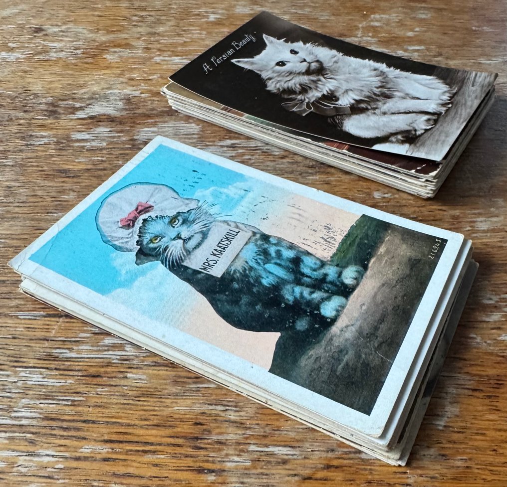 Eri maat - Kissan - Postikortti (46) - 1900-1940 #1.0