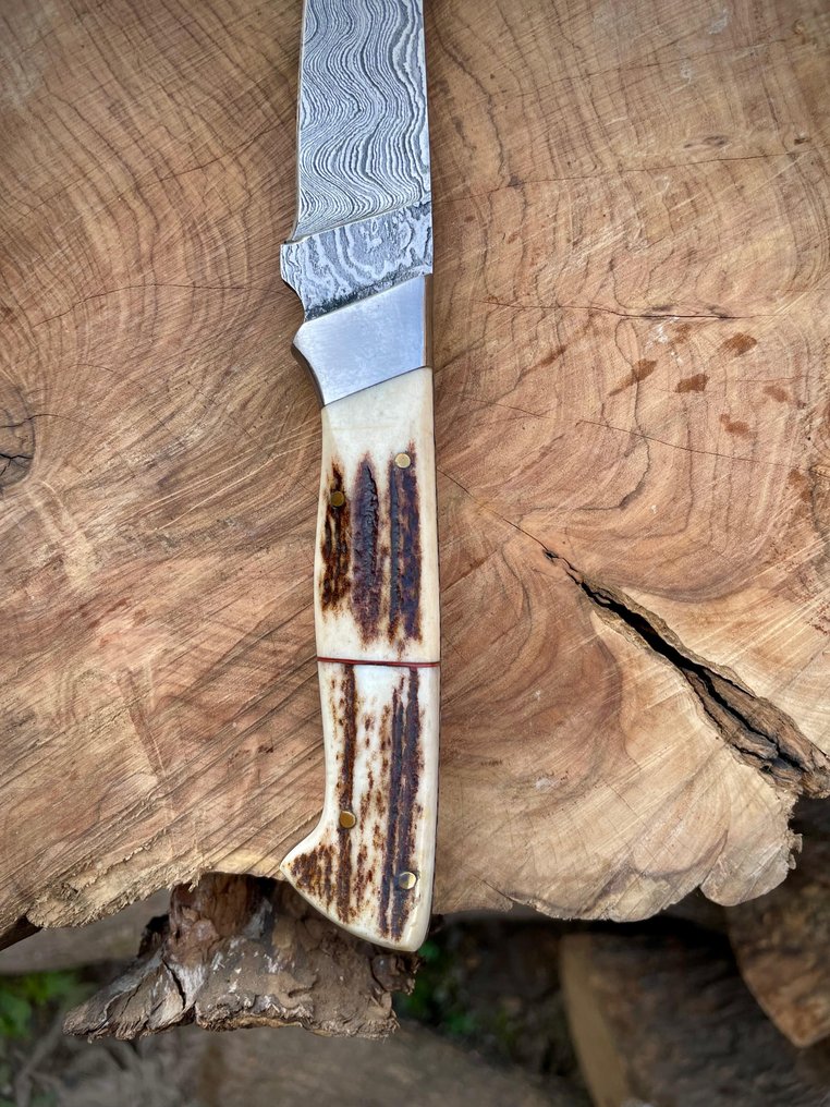 Küchenmesser - Utility knife - Stahl, Leder, Knochen - Unbekannt #1.0