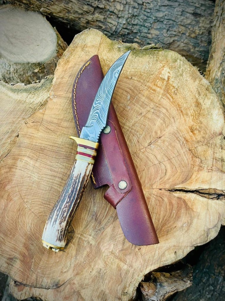 Küchenmesser - Utility knife - Stahl, Horn, Messing, Leder - Spanien #2.1