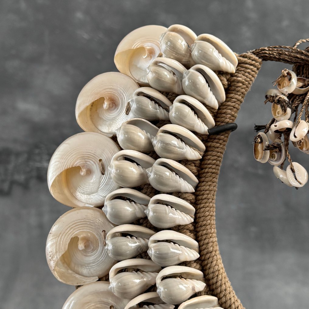 裝飾飾物 - NO RESERVE PRICE - SN21 - Decorative shell necklace on a custom stand - Iatmul style - 巴布亞紐幾內亞 #4.3