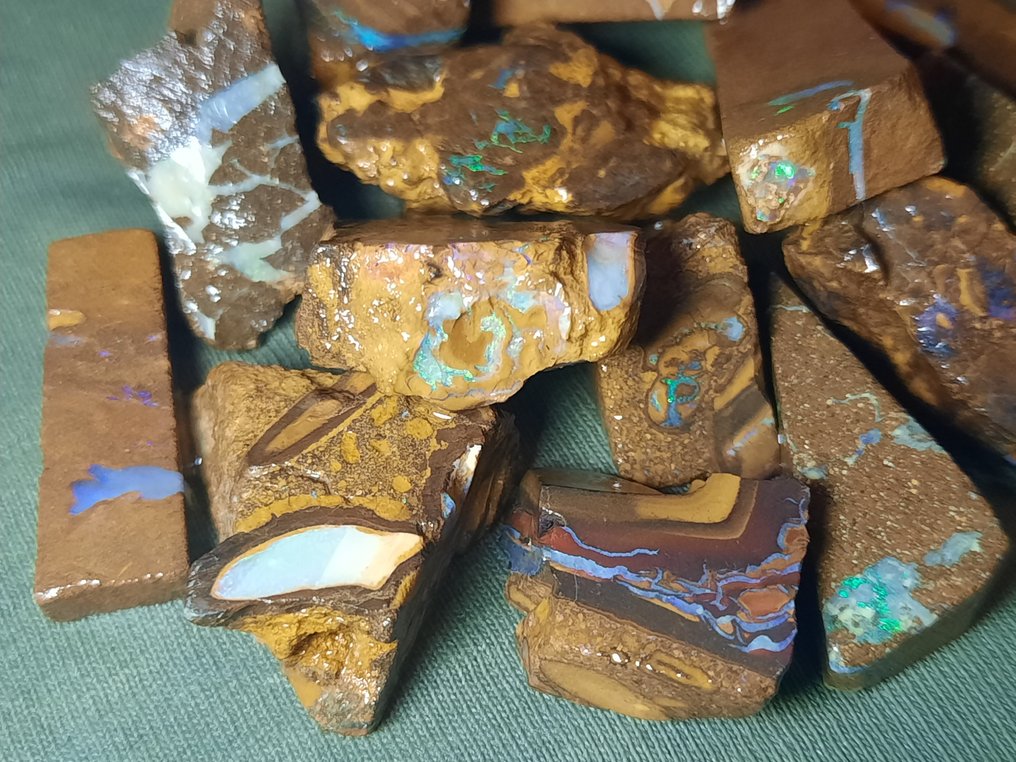 268,8 cts - Prachtige Australische Boulder Opal Rough - Multikleuren!- 53.76 g #2.1